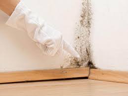 Best Asbestos and Lead Testing During Mold Inspection  in Conyers, GA